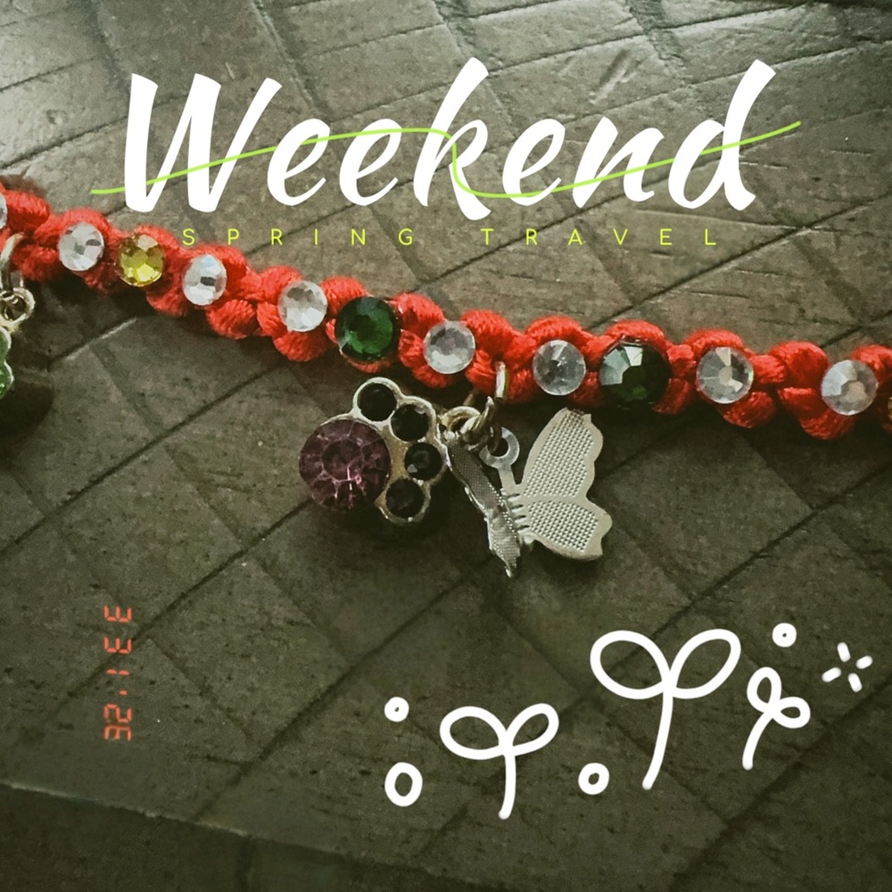 Red Beaded Charm Bracelet with Butterfly and Crystal Charms